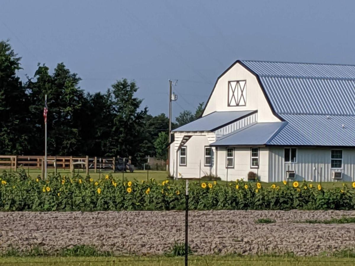 Bunkhouse Farm Stay Fort White Luaran gambar